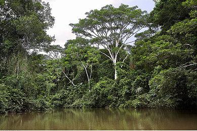 《最终幻想16》开放预购 国区298元、PC配置公开